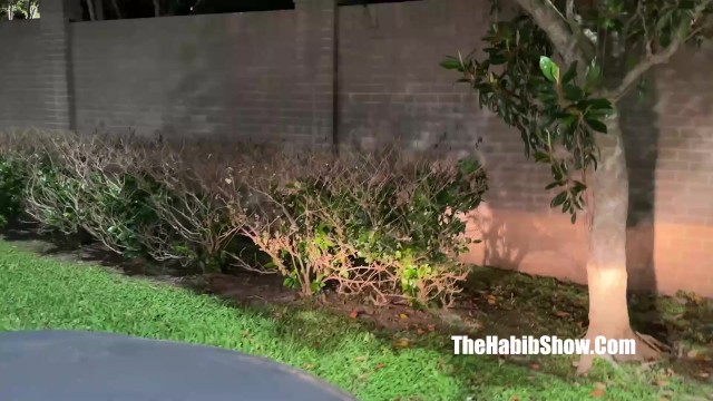 Linda em amador ação no The Habib Show