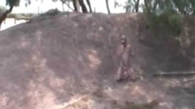 दिव्य  शुगर बेबी में जर्मन क्लिप