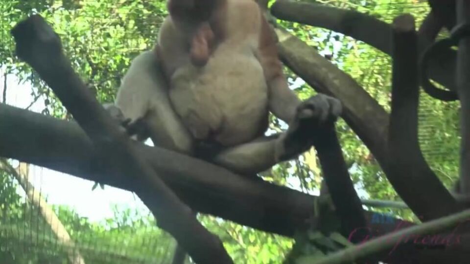 Clip de tetas grandes con Jamie