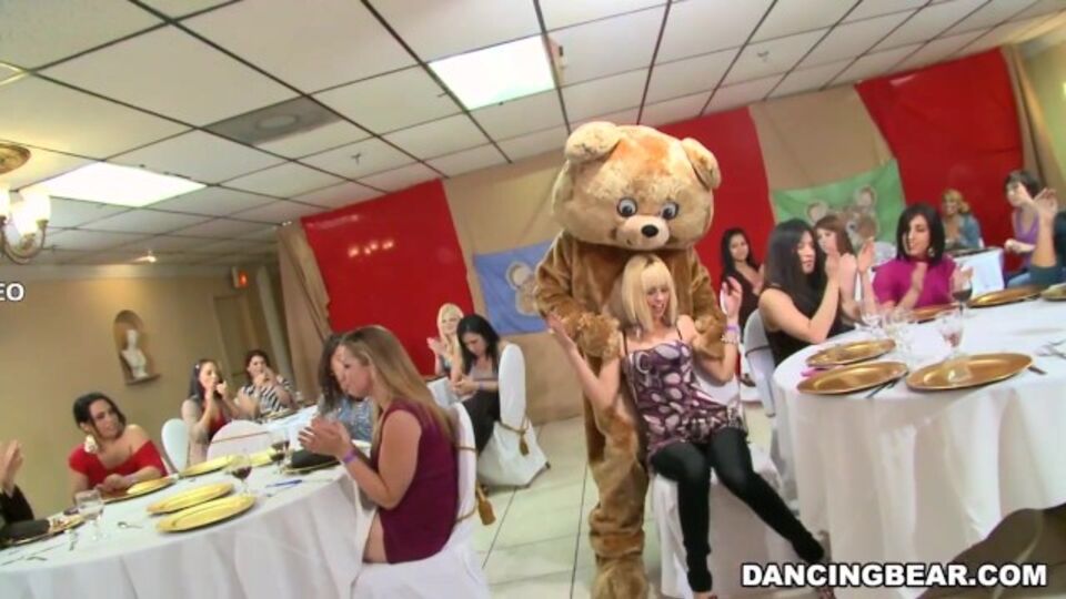 Dancing Bear apresenta piru grande gravação da piriguete