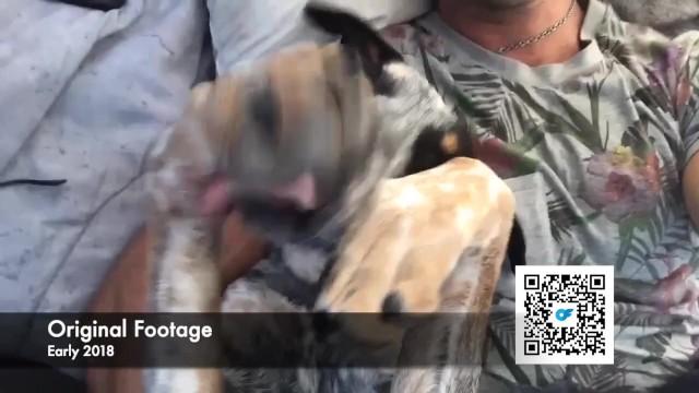 Verified Amateurs - riprese sexy