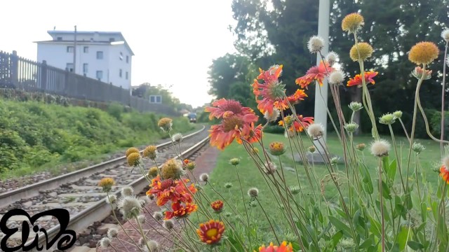 अतोषणीय  ElivaLove में अभिनय किया मालिश क्रिया