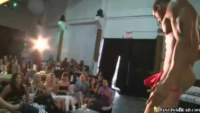 Micia in xxx gruppo di Dancing Bear