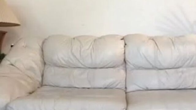 Fine-looking nymph's shaved dirt