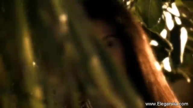 सुंदरी प्रेमी में अभिनय किया भारतीय क्लिप