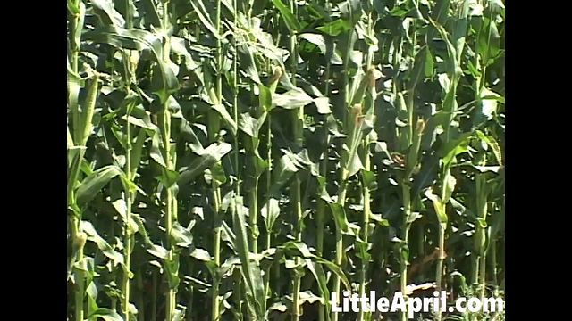 अच्छी तरह से बनाई गई Petite Blonde और Little April - बुत अश्लील - Little April