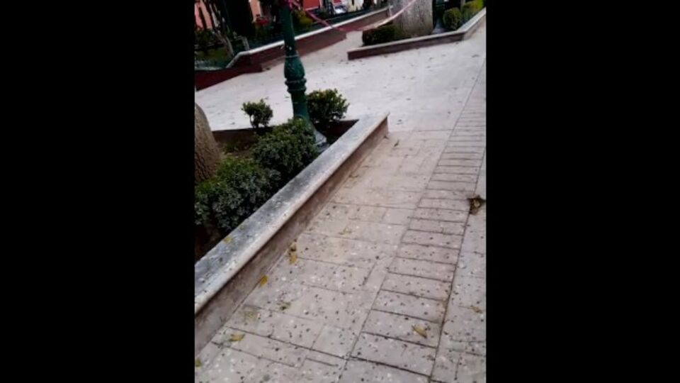 Adelanto con la linda Tania Gomez con tetas grandes de Verified Amateurs