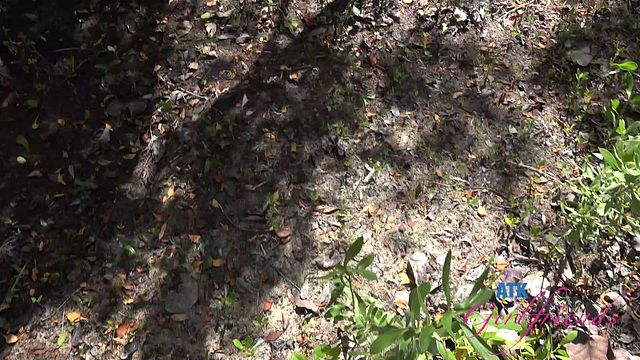 Ideale Riley Rose in clip fidanzata