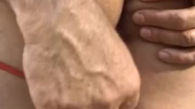 Tätowierte Frau XXX-Film mit großartiger Bimbo von Screw My Wife Club